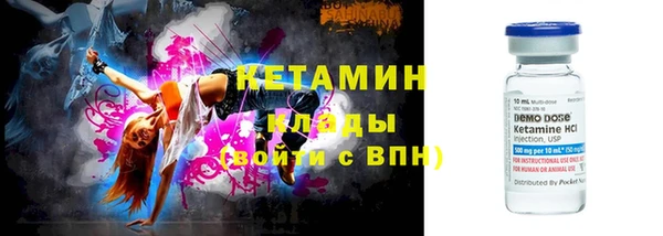 стаф Губаха