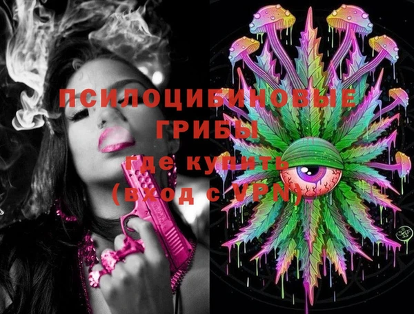 меф Няндома
