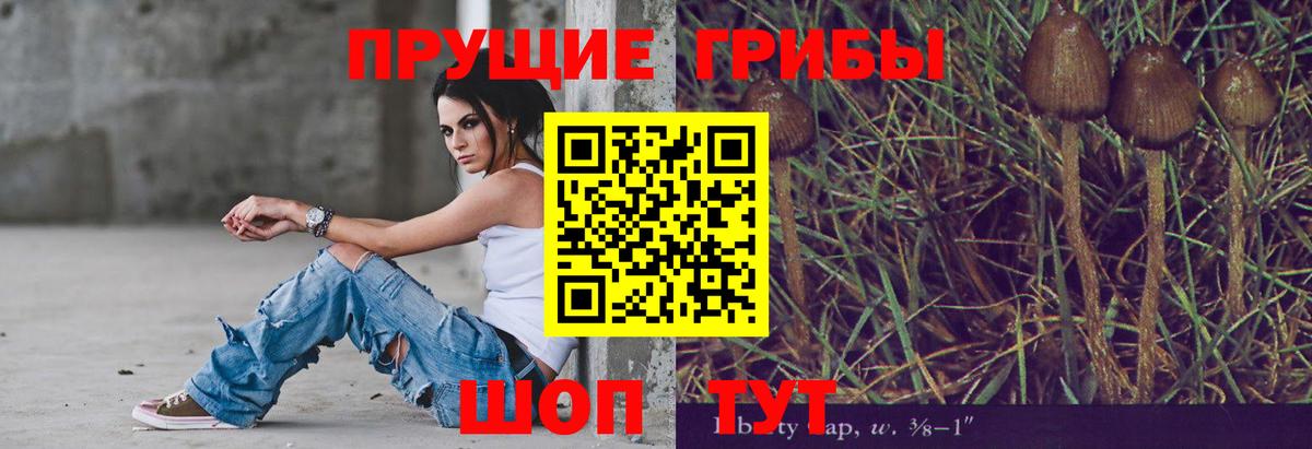 Псилоцибиновые грибы Cubensis Нарткала