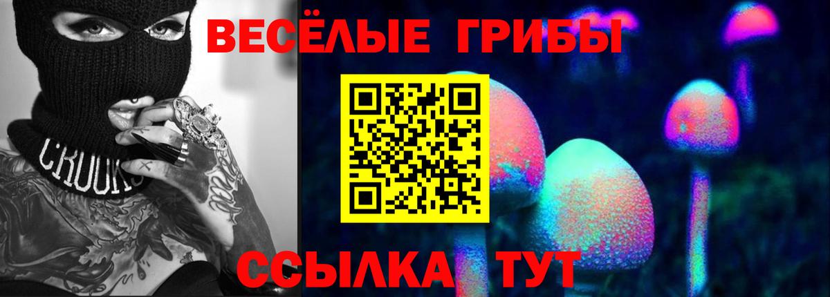 продажа наркотиков  Вход с VPN  Нарткала  Псилоцибиновые грибы мухоморы 