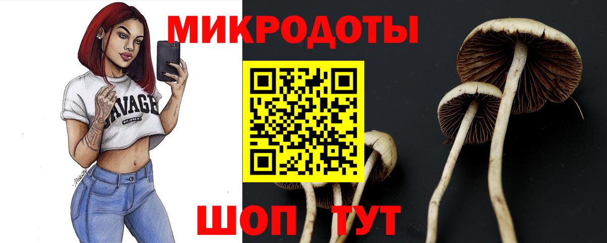 Псилоцибиновые грибы Psilocybine cubensis Нарткала