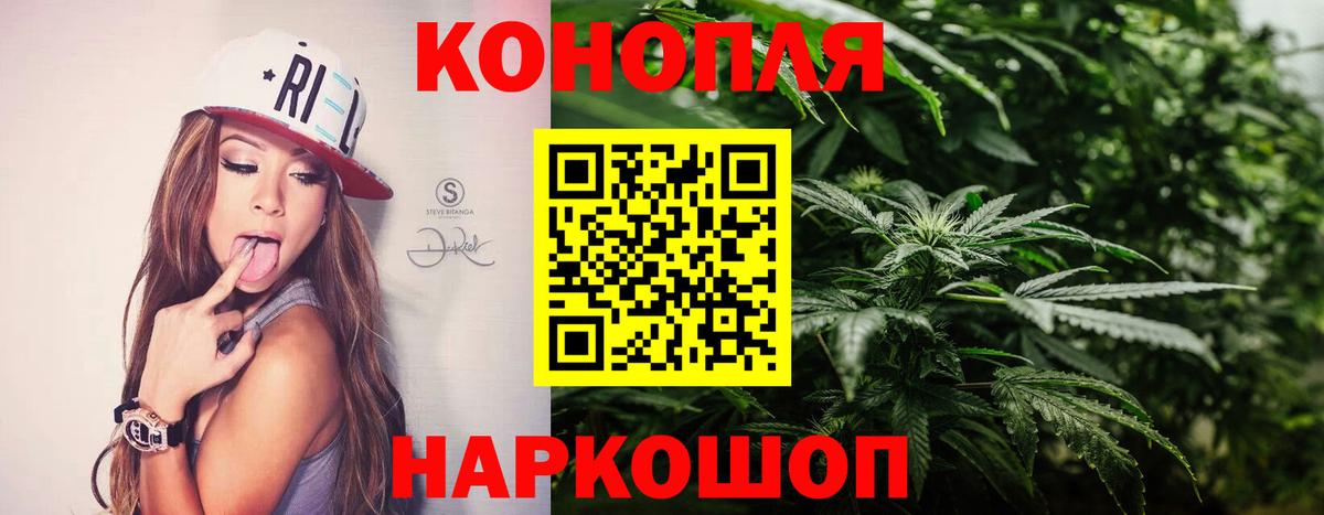 Конопля White Widow  Каннабис AK-47  Нарткала  Вход с VPN 