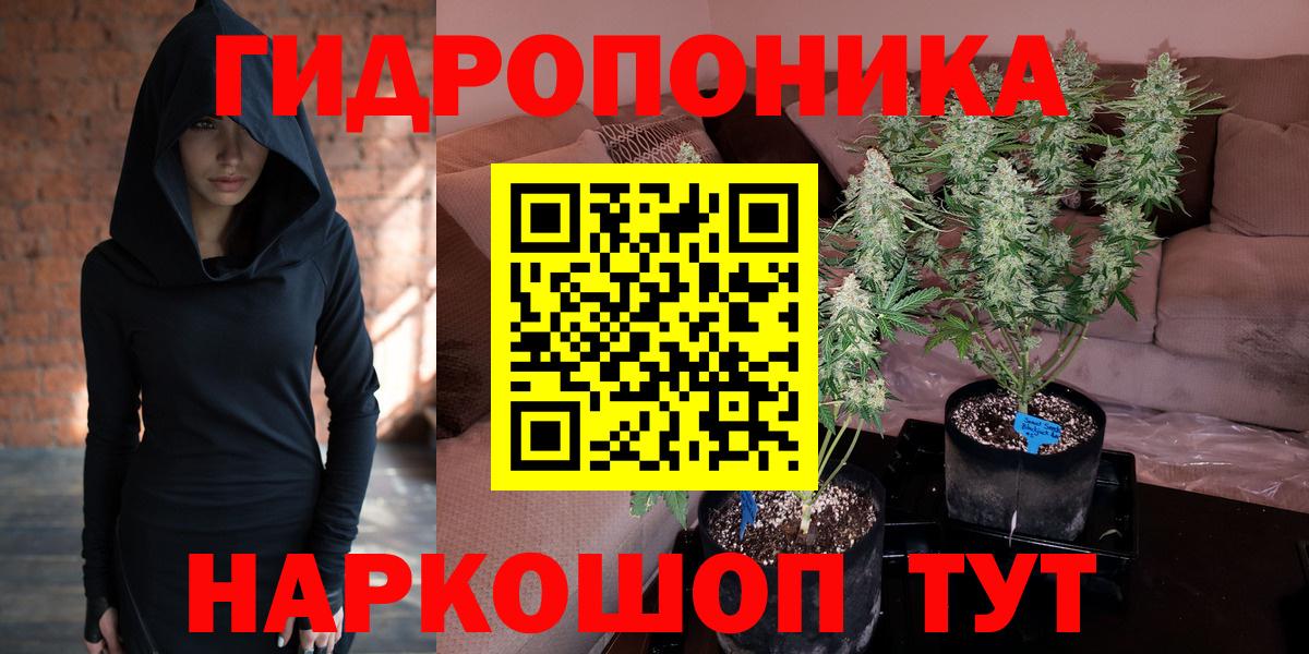 Бошки марихуана SATIVA & INDICA  Бошки Шишки семена  Шишки марихуана OG Kush  Нарткала 